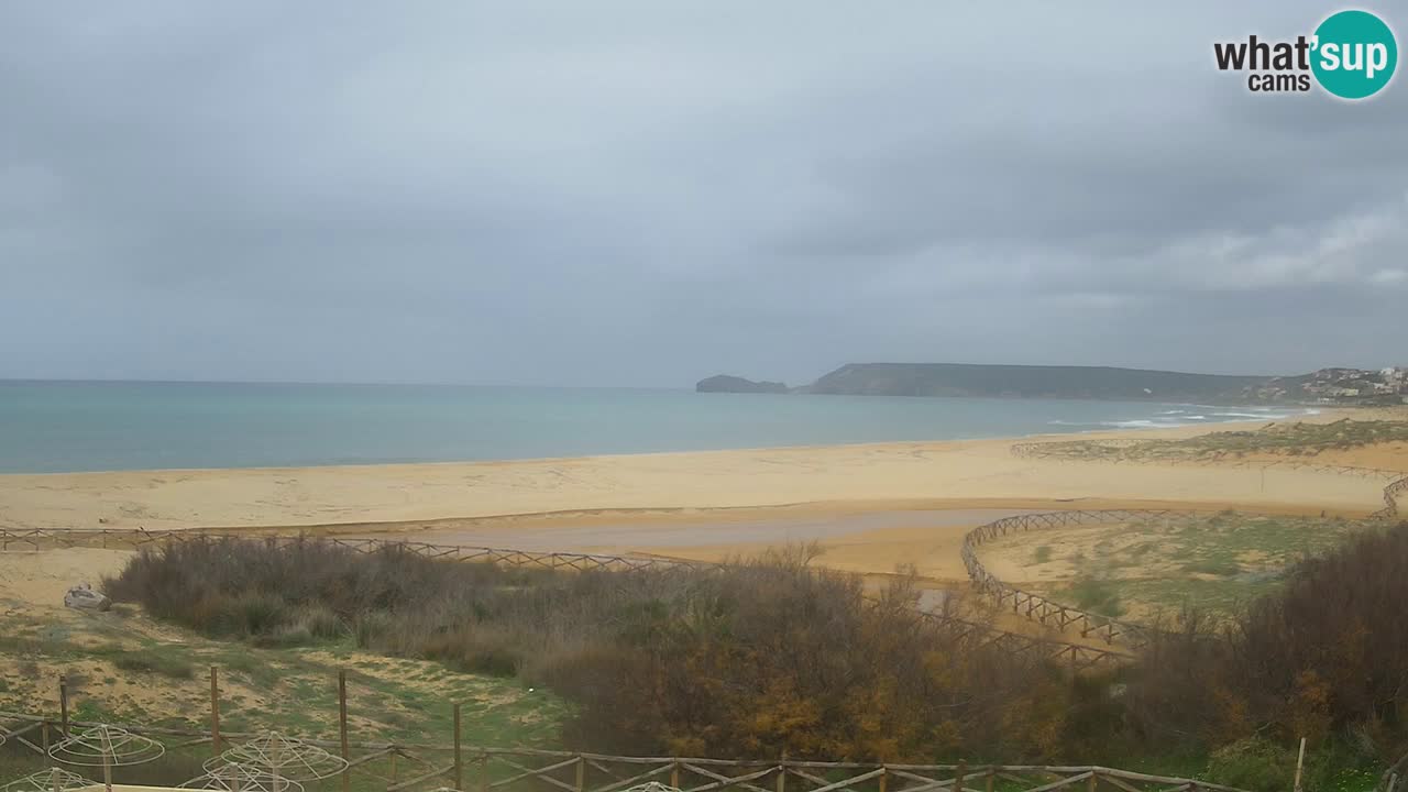 Webcam Torre dei Corsari – Live Beach View from Punta Usai