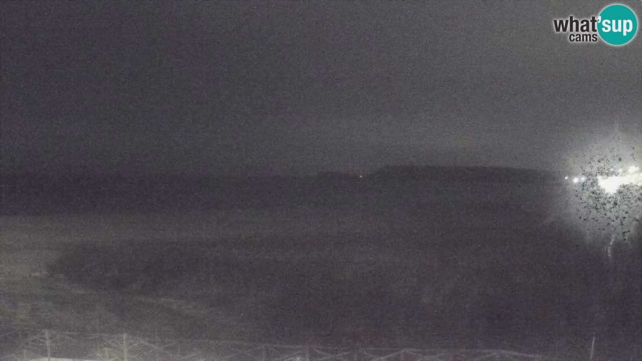 Webcam Torre dei Corsari – Vista live sulla spiaggia da Punta Usai