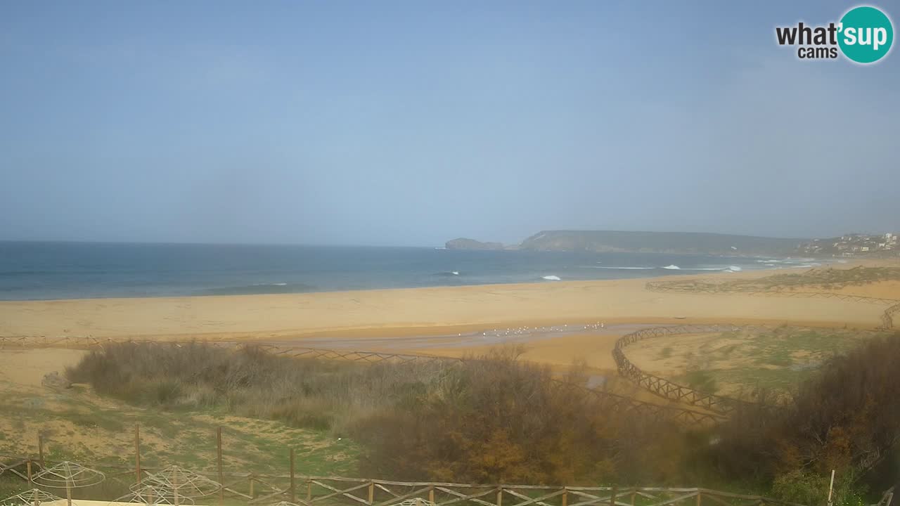 Webcam Torre dei Corsari – Live Beach View from Punta Usai