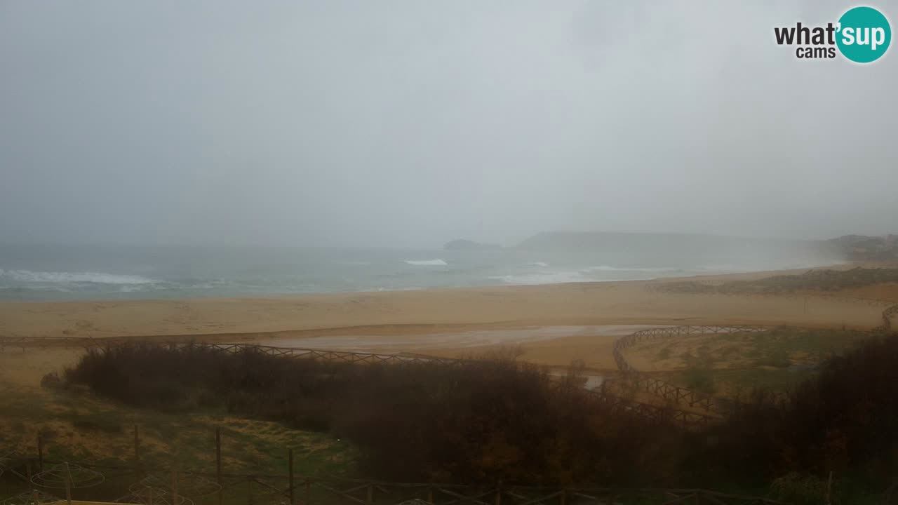 Webcam Torre dei Corsari – Live Beach View from Punta Usai