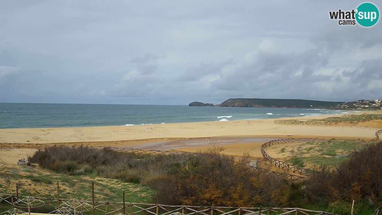 Web kamera Torre dei Corsari – Pogled uživo na plažu s Punta Usai