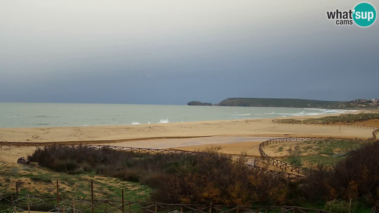 Webcam Torre dei Corsari – Live Beach View from Punta Usai