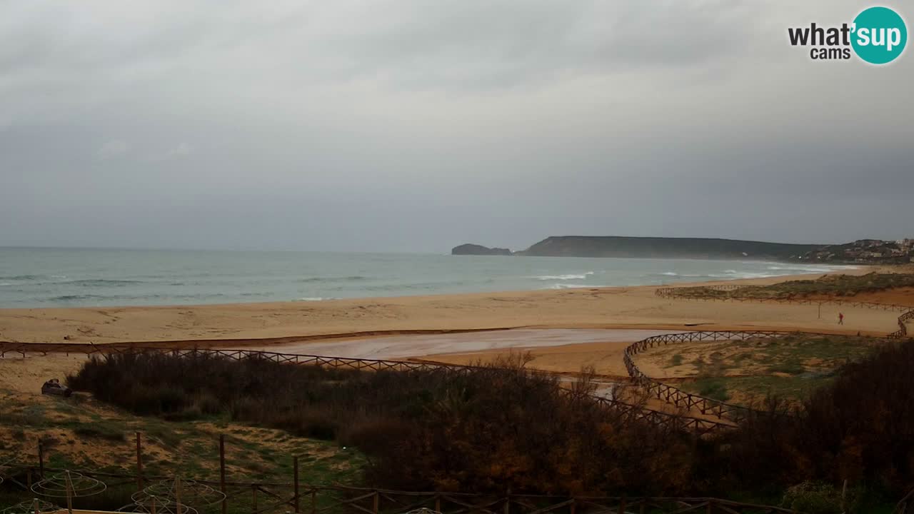Web kamera Torre dei Corsari – Pogled uživo na plažu s Punta Usai