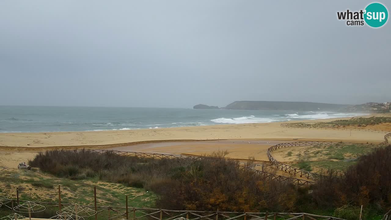 Webcam Torre dei Corsari – Live Beach View from Punta Usai