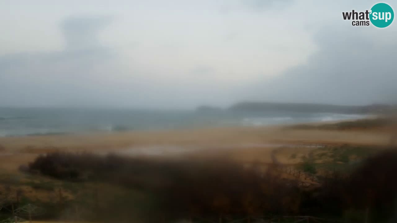 Webcam Torre dei Corsari – Vista live sulla spiaggia da Punta Usai