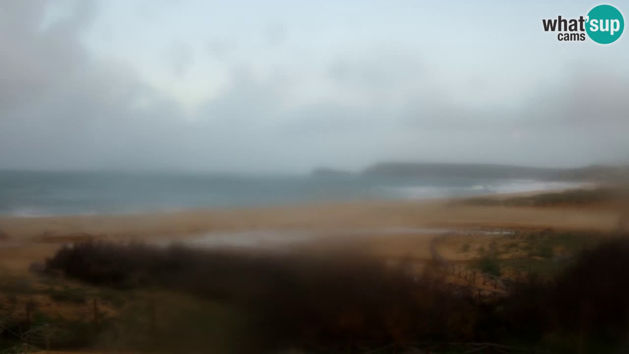 Webcam Torre dei Corsari – Live Beach View from Punta Usai