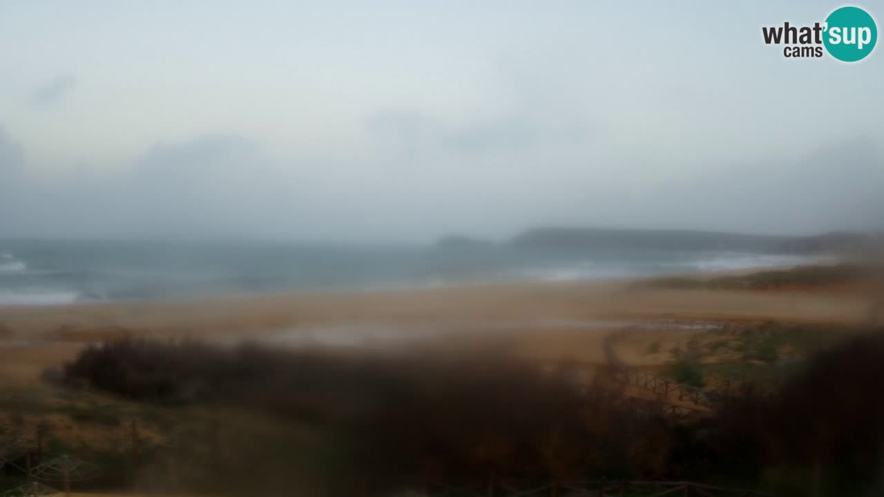 Webcam Torre dei Corsari – Live Beach View from Punta Usai