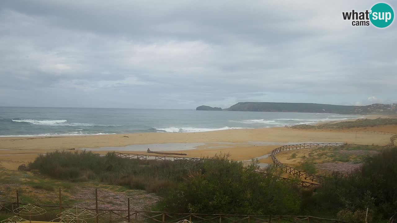 Webcam Torre dei Corsari – Vue en direct sur la plage depuis Punta Usai