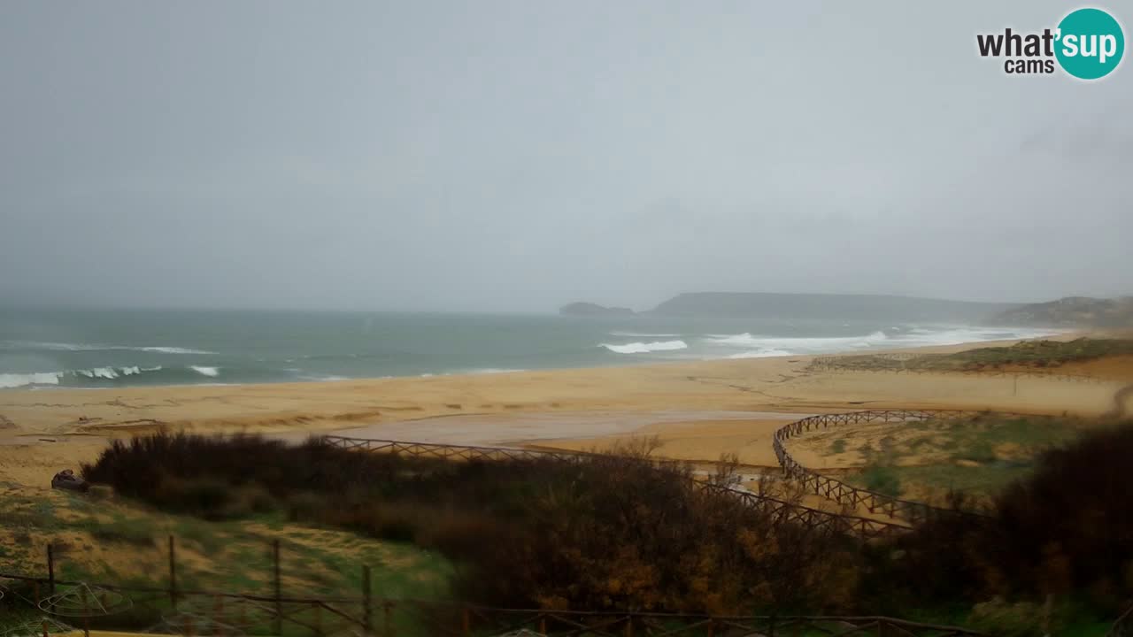 Webcam Torre dei Corsari – Live Beach View from Punta Usai