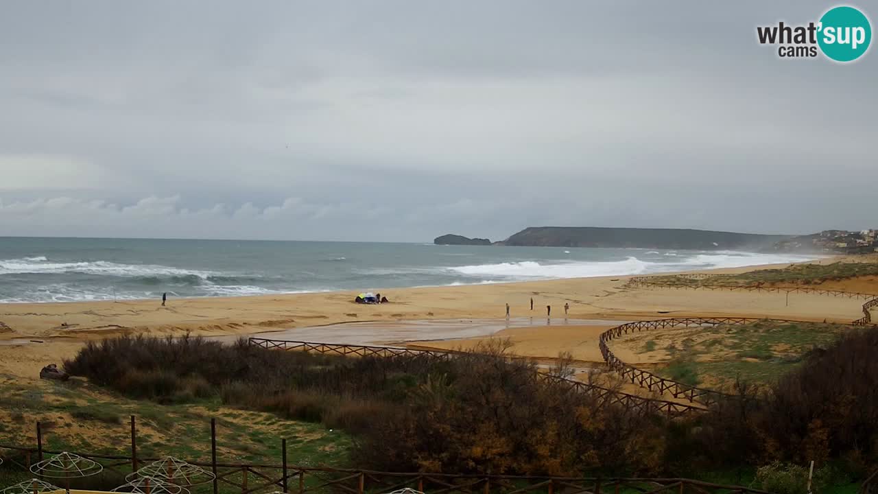 Webcam Torre dei Corsari – Live Beach View from Punta Usai