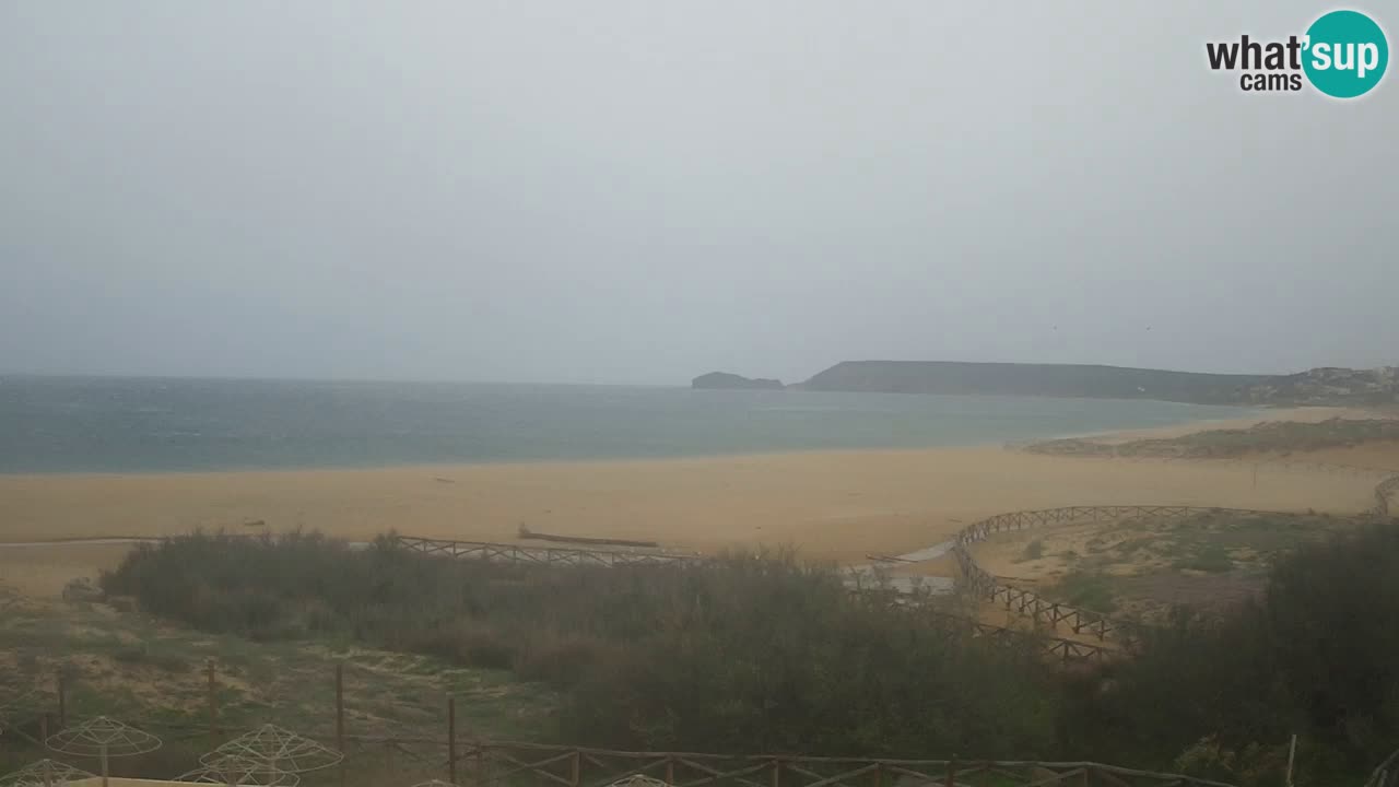 Webcam Torre dei Corsari – Live Beach View from Punta Usai