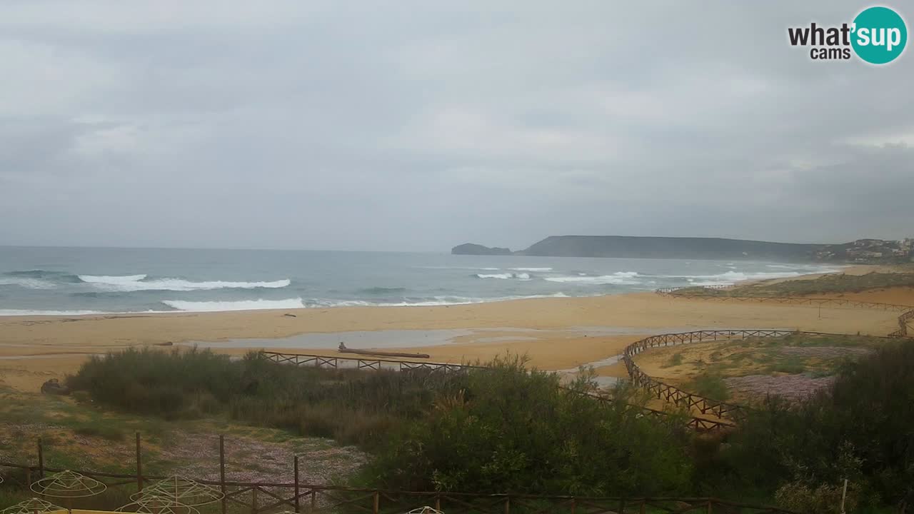 Webcam Torre dei Corsari – Liveblick auf den Strand von Punta Usai