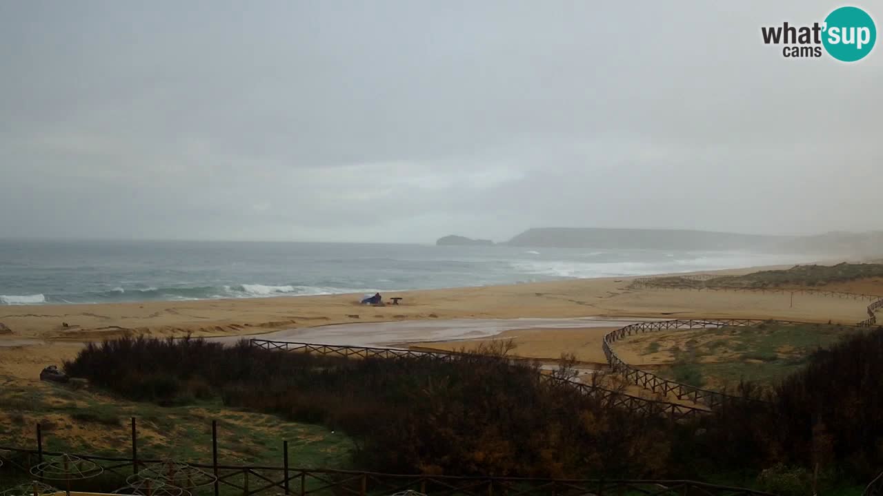 Webcam Torre dei Corsari – Live Beach View from Punta Usai