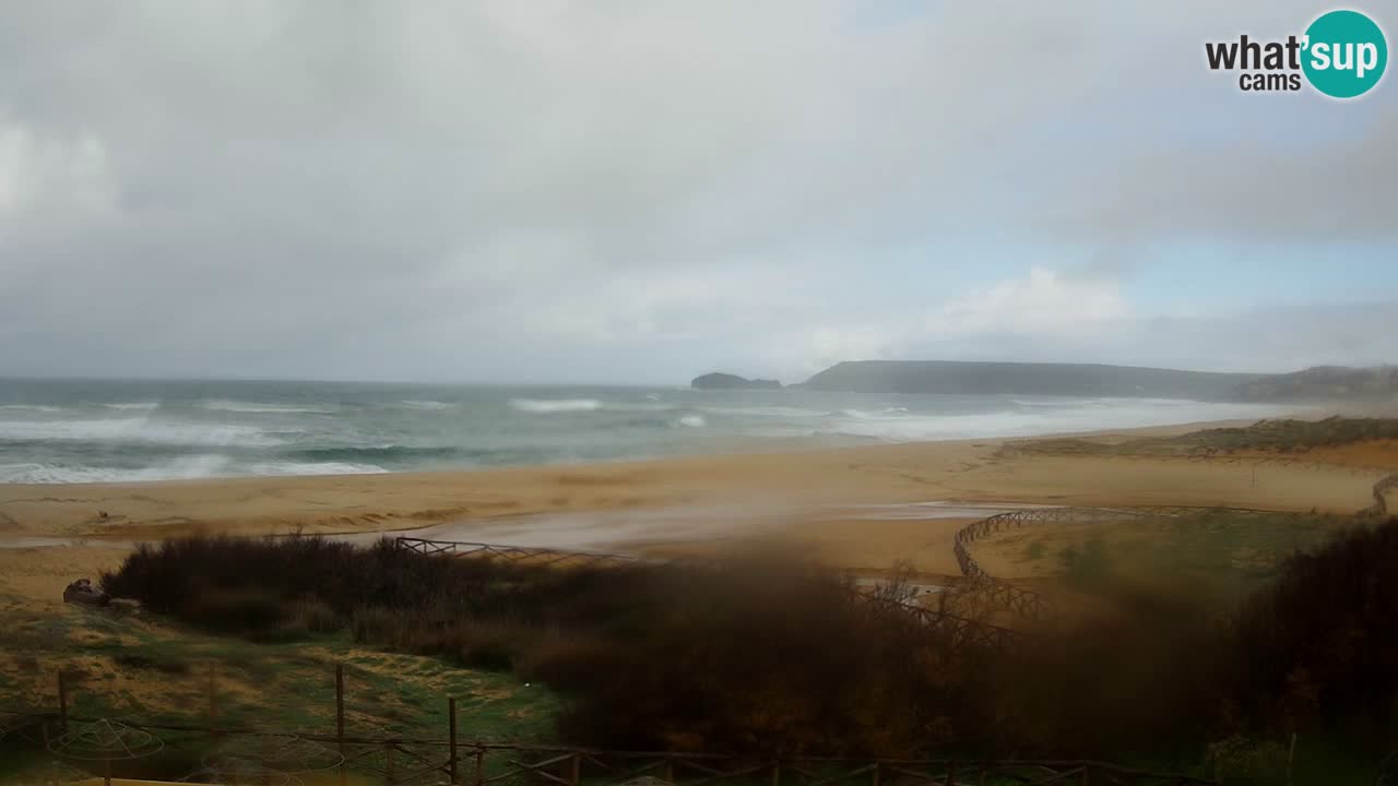 Webcam Torre dei Corsari – Vue en direct sur la plage depuis Punta Usai