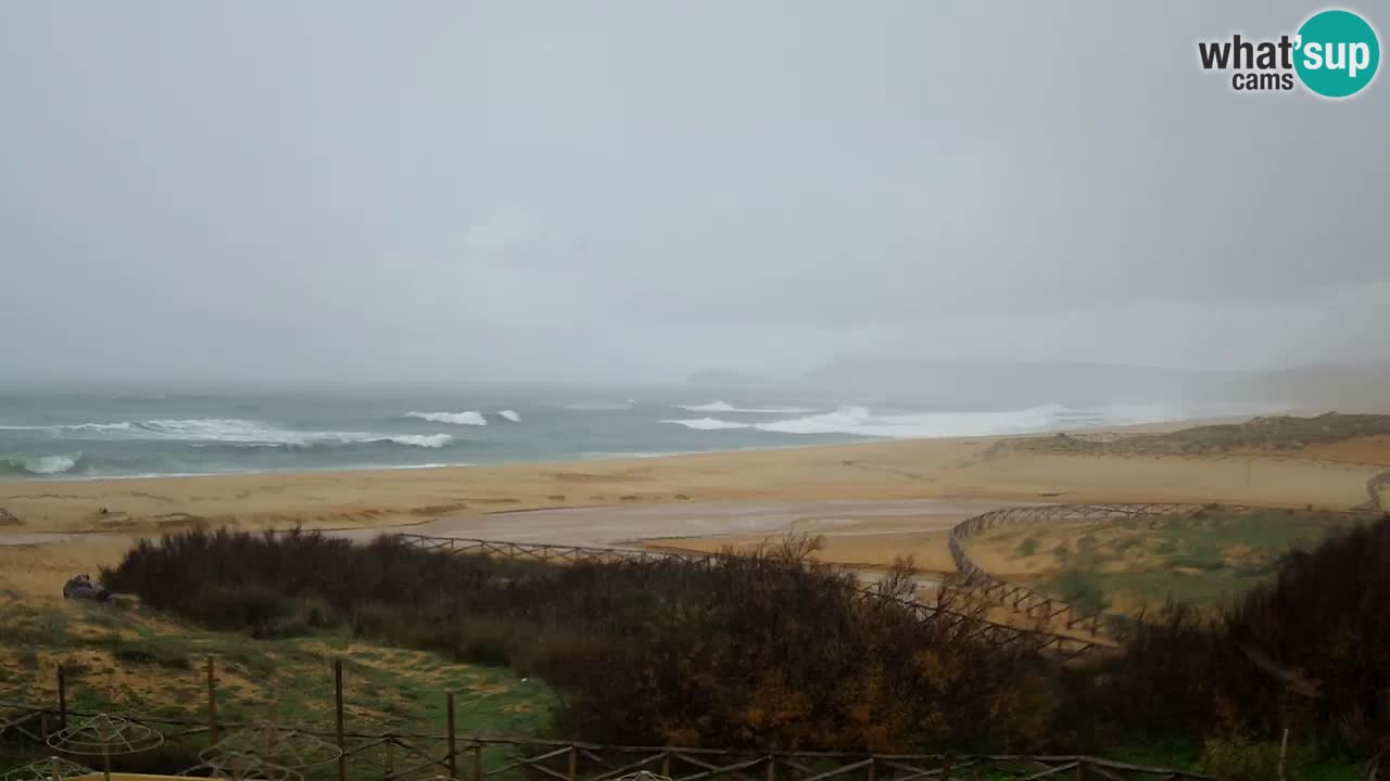 Webcam Torre dei Corsari – Live Beach View from Punta Usai