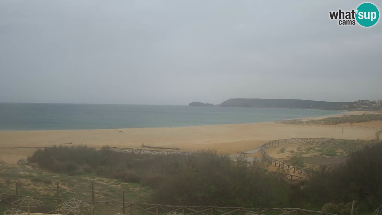 Webcam Torre dei Corsari – Live Beach View from Punta Usai