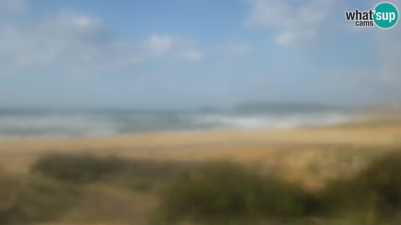 Web kamera Torre dei Corsari – Pogled uživo na plažu s Punta Usai