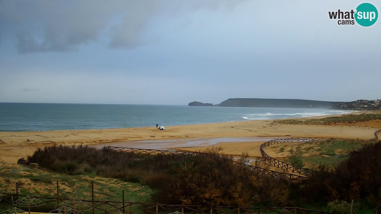 Webcam Torre dei Corsari – Live Beach View from Punta Usai