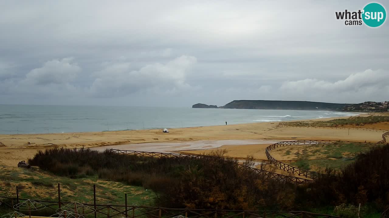 Webcam Torre dei Corsari – Live Beach View from Punta Usai