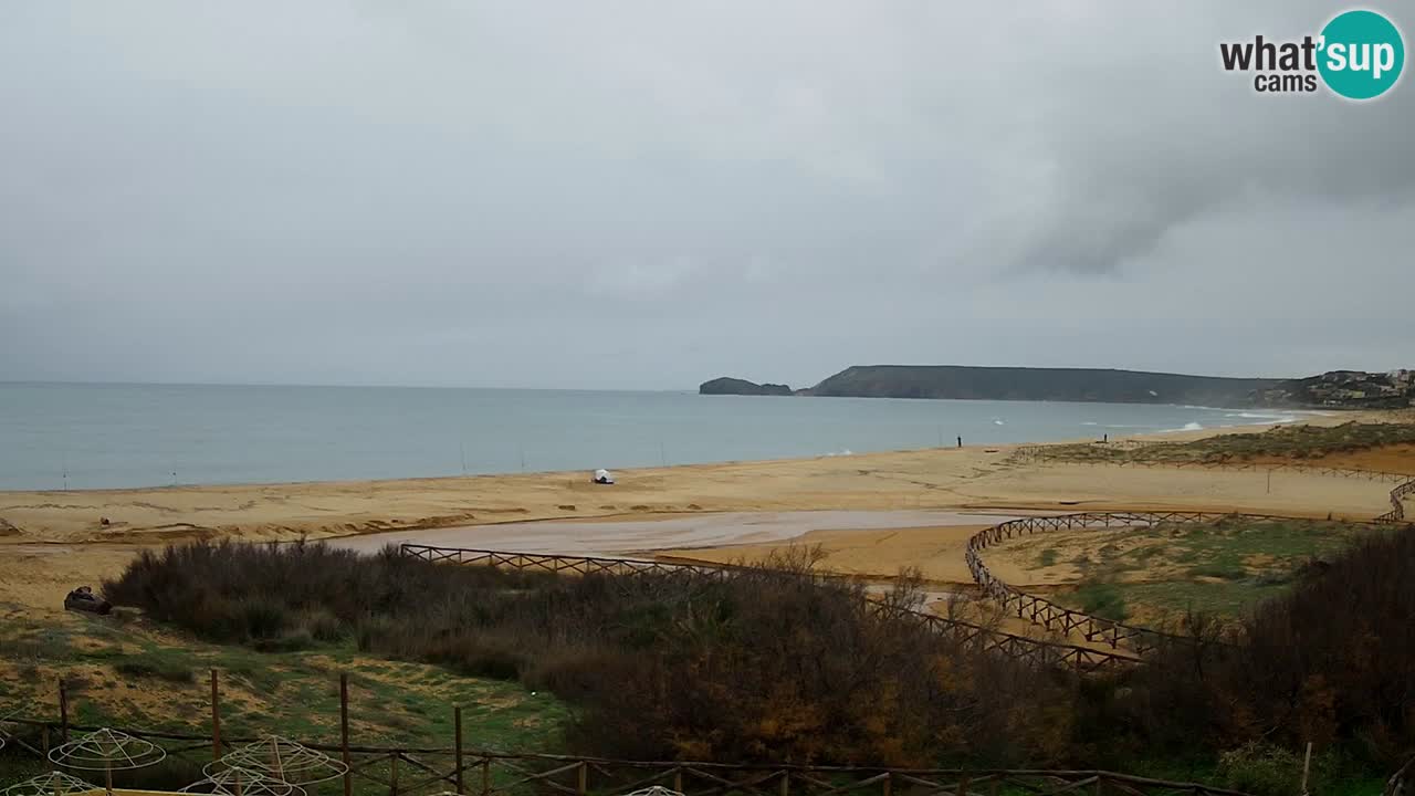 Webcam Torre dei Corsari – Live Beach View from Punta Usai