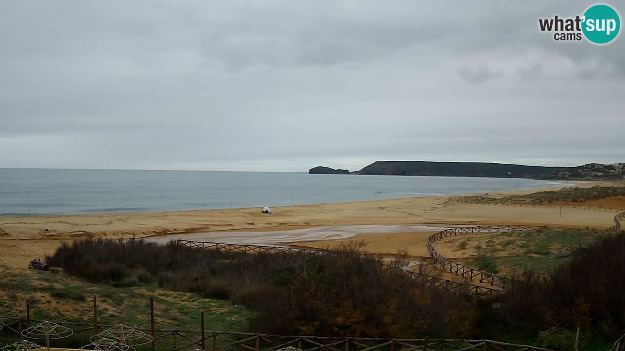 Webcam Torre dei Corsari – Live Beach View from Punta Usai
