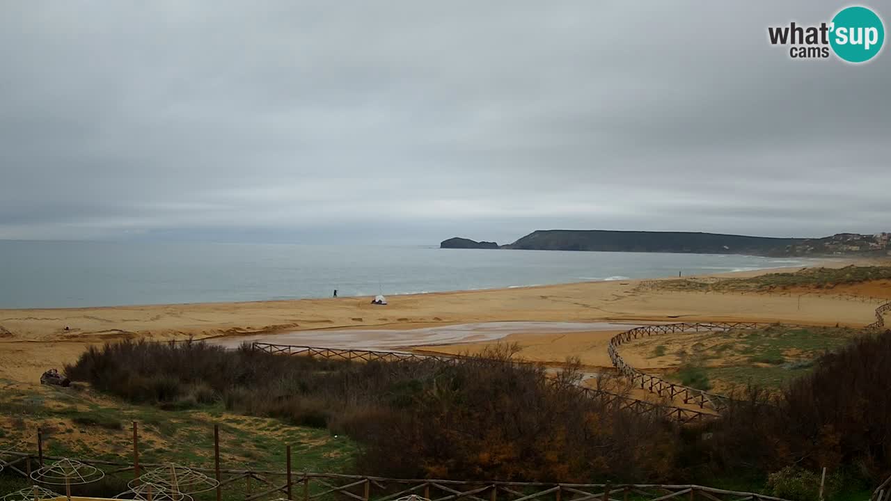 Webcam Torre dei Corsari – Live Beach View from Punta Usai