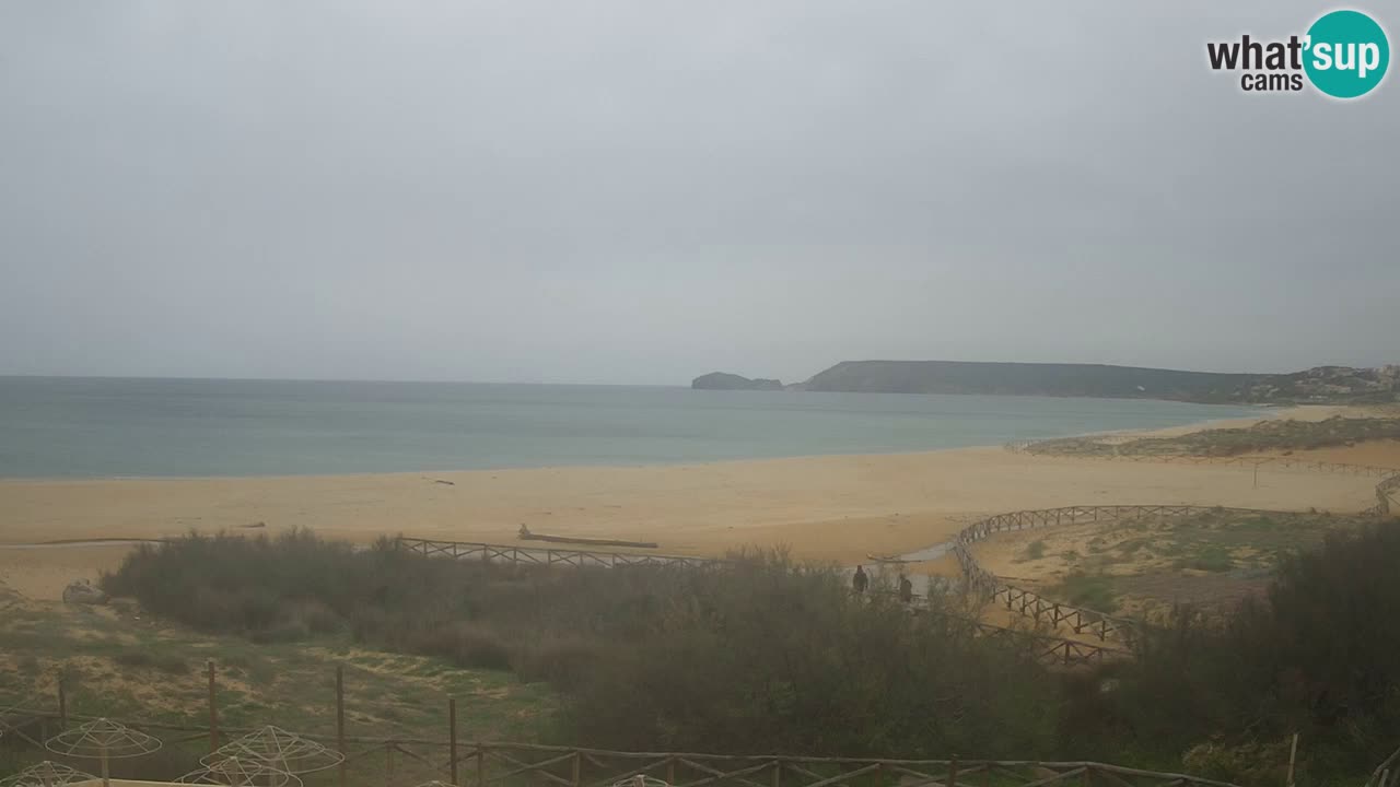 Webcam Torre dei Corsari – Live Beach View from Punta Usai