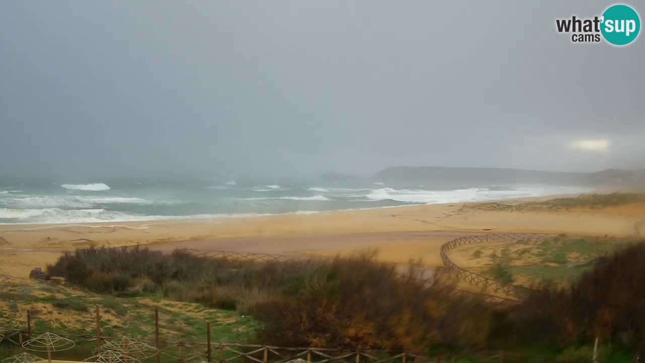 Webcam Torre dei Corsari – Live Beach View from Punta Usai