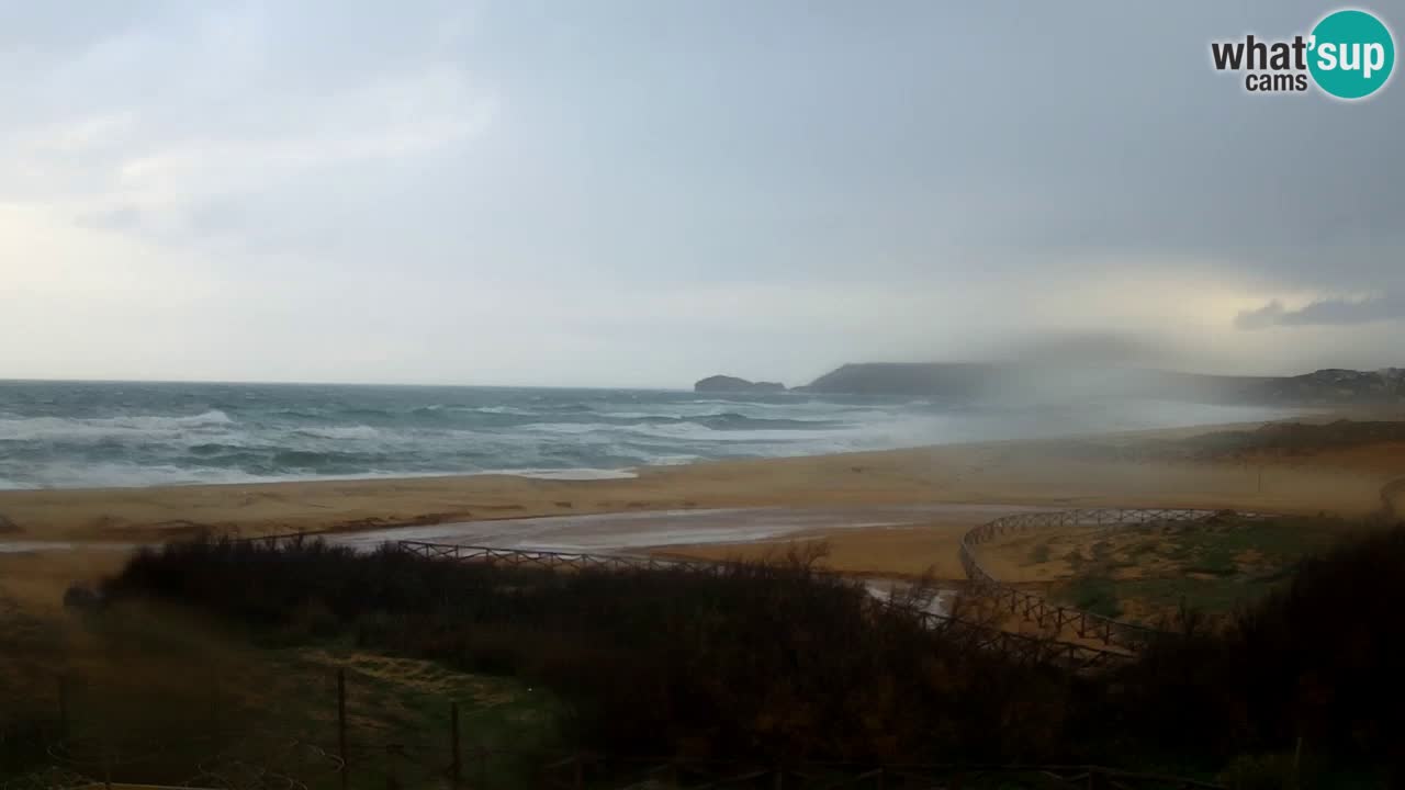 Webcam Torre dei Corsari – Live Beach View from Punta Usai