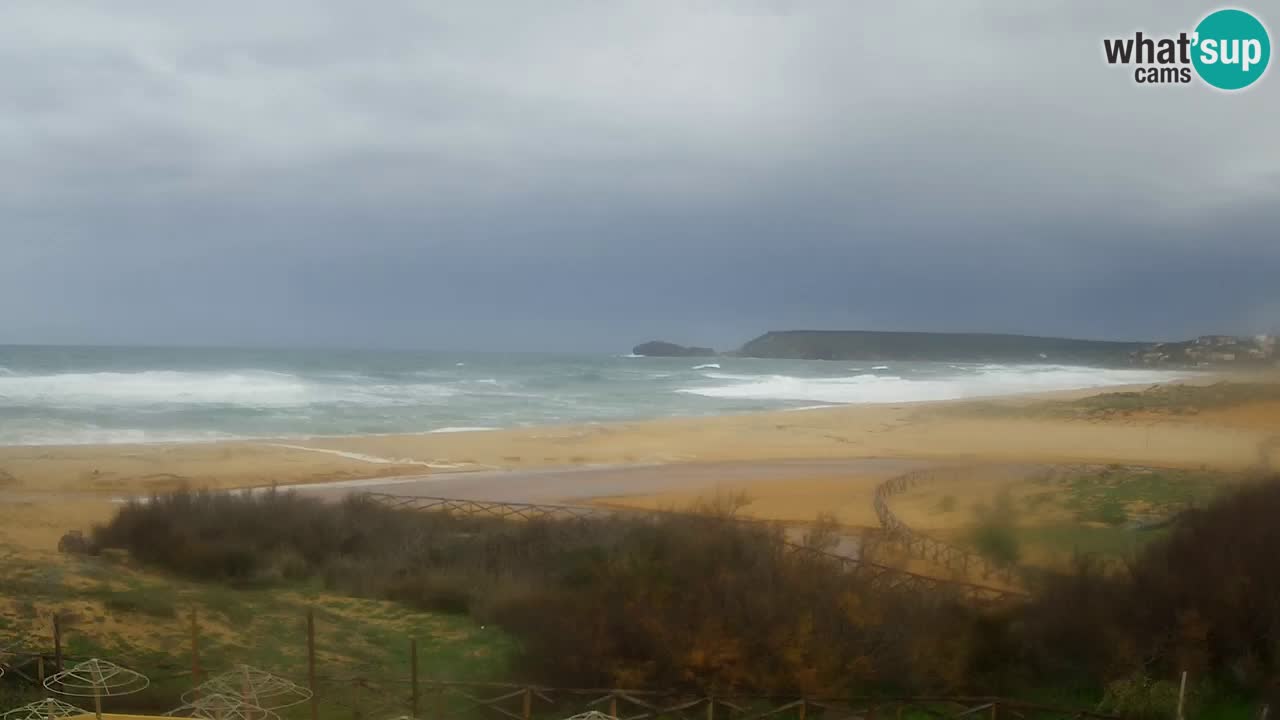 Webcam Torre dei Corsari – Live Beach View from Punta Usai