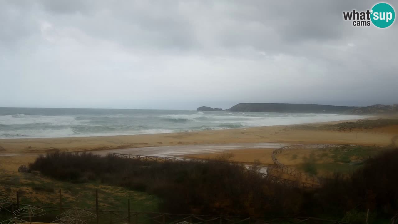 Webcam Torre dei Corsari – Live Beach View from Punta Usai