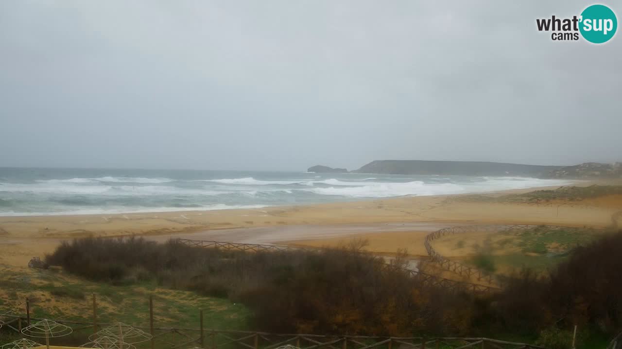 Webcam Torre dei Corsari – Live Beach View from Punta Usai