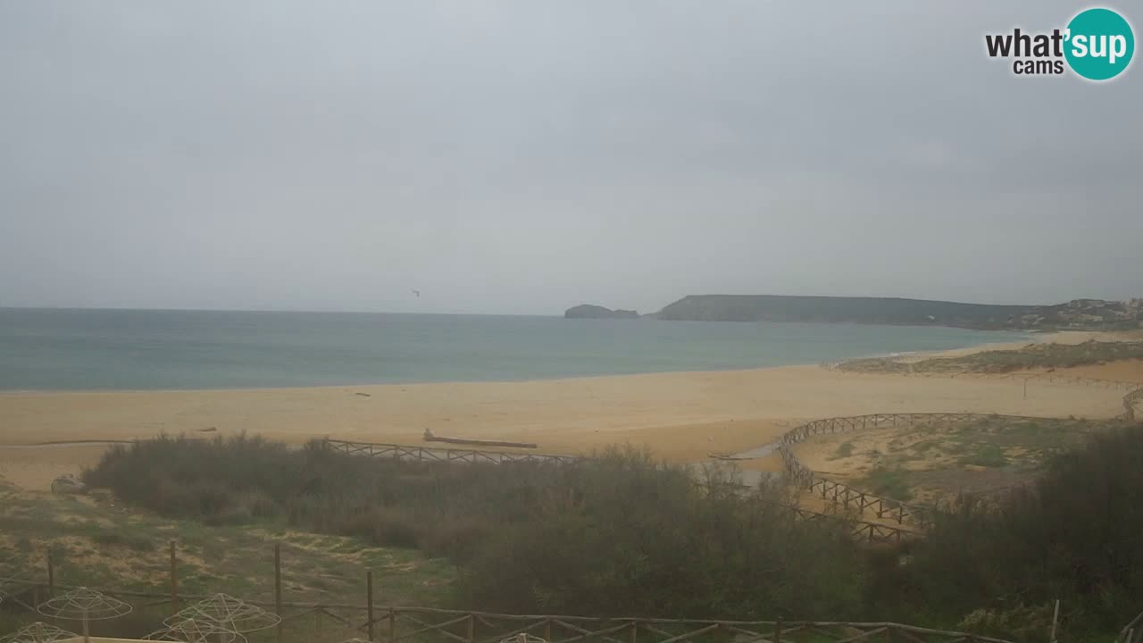 Webcam Torre dei Corsari – Live Beach View from Punta Usai