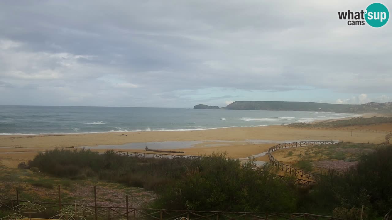Cámara web Torre dei Corsari – Vista en directo de la playa desde Punta Usai