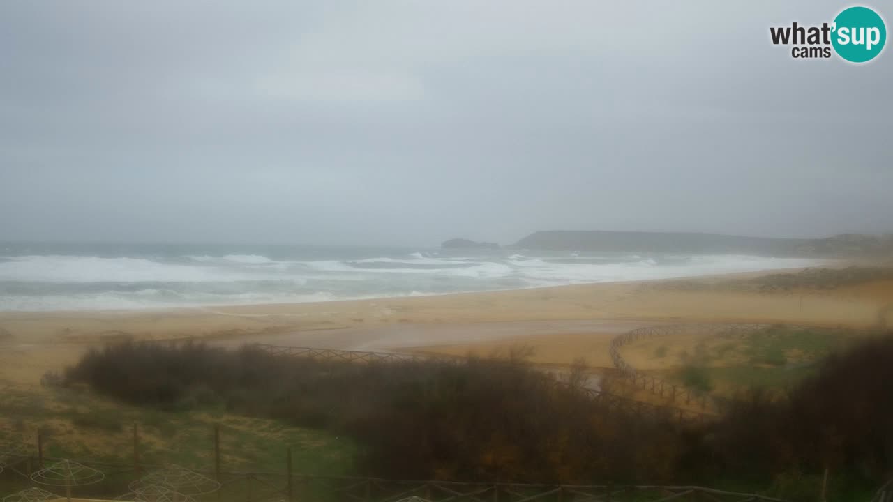 Webcam Torre dei Corsari – Live Beach View from Punta Usai