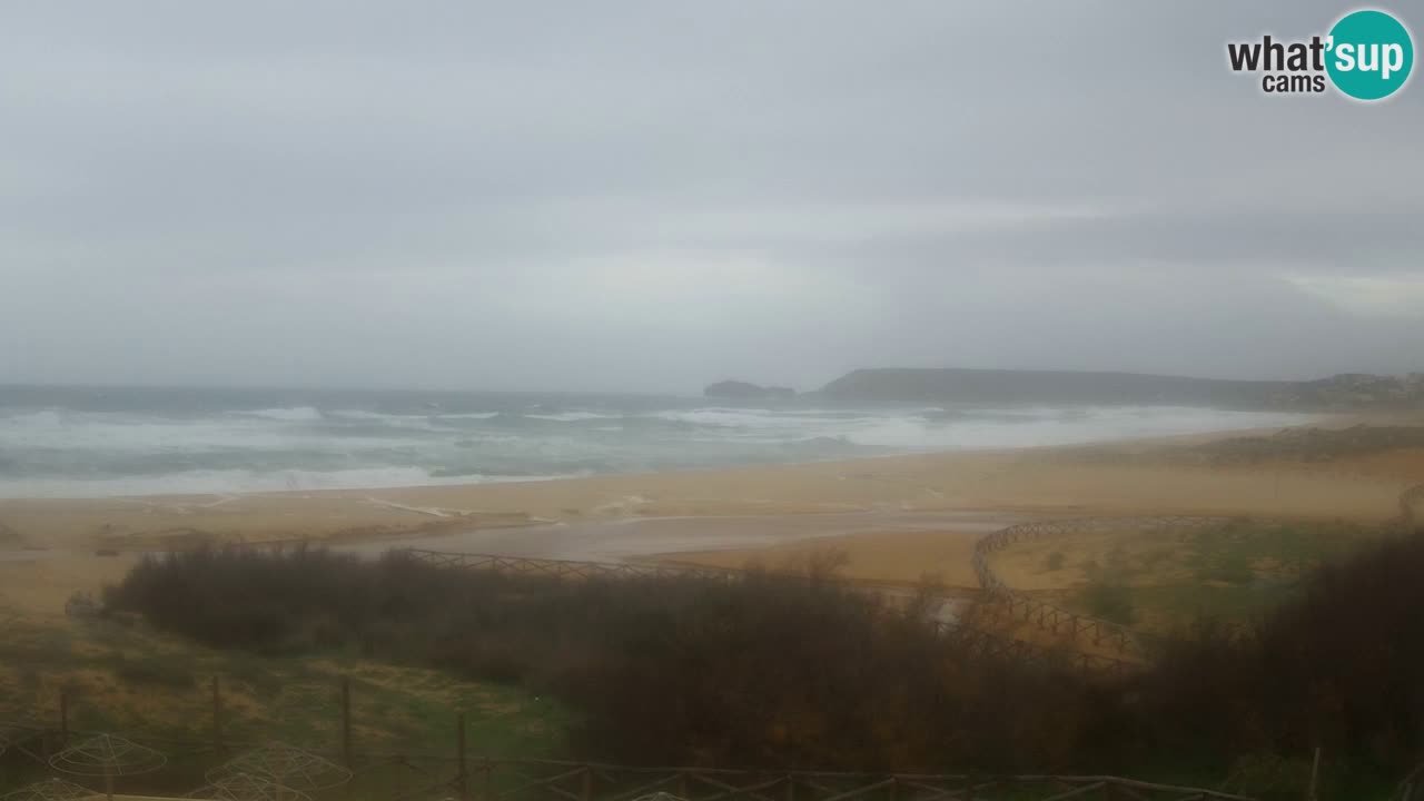 Webcam Torre dei Corsari – Live Beach View from Punta Usai