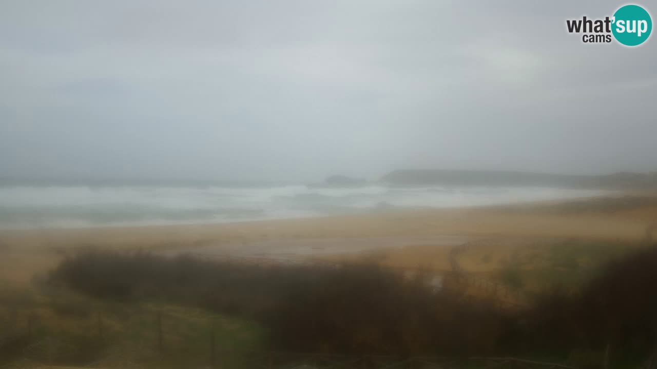 Webcam Torre dei Corsari – Liveblick auf den Strand von Punta Usai