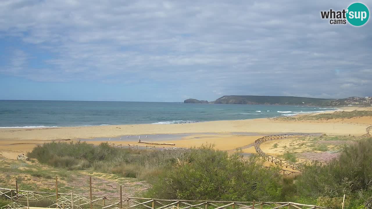Cámara web Torre dei Corsari – Vista en directo de la playa desde Punta Usai