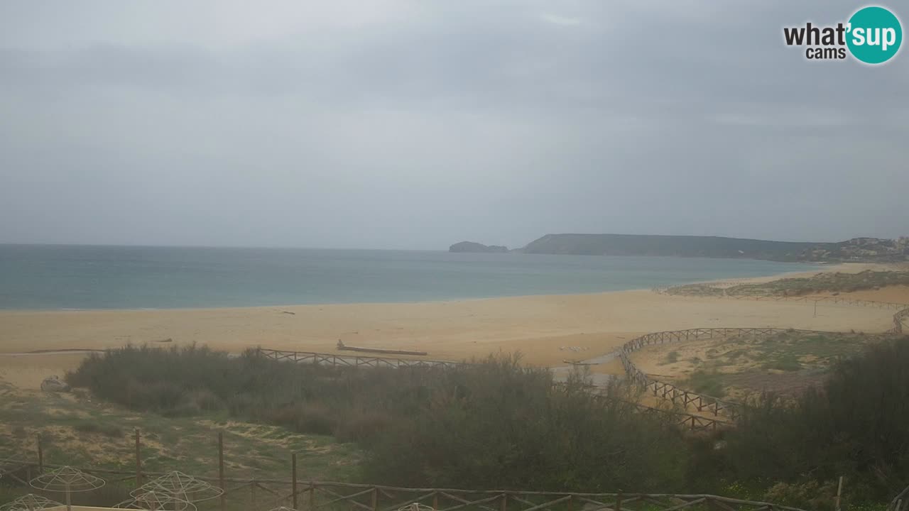 Webcam Torre dei Corsari – Live Beach View from Punta Usai