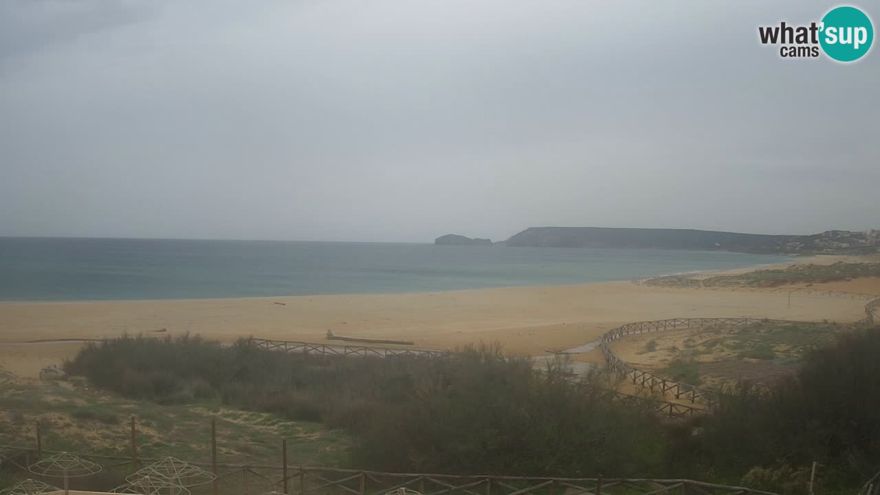 Webcam Torre dei Corsari – Live Beach View from Punta Usai