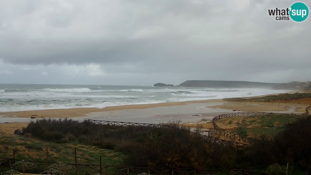 Webcam Torre dei Corsari – Live Beach View from Punta Usai