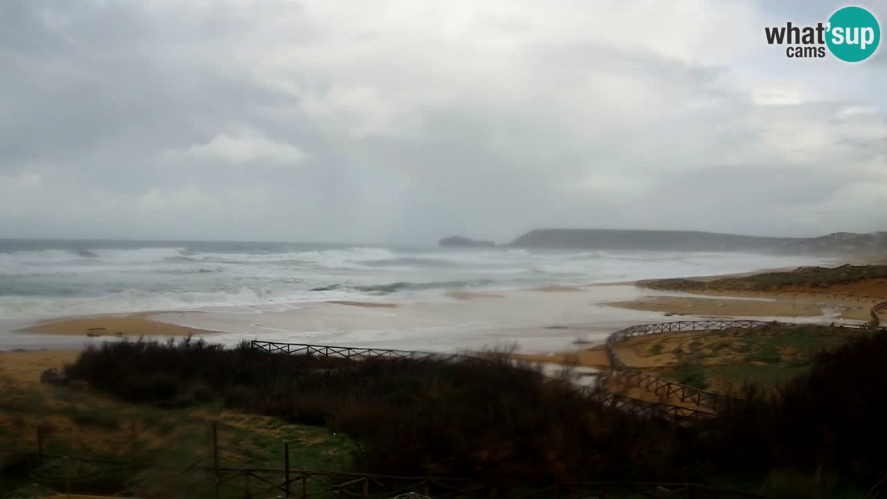 Webcam Torre dei Corsari – Live Beach View from Punta Usai