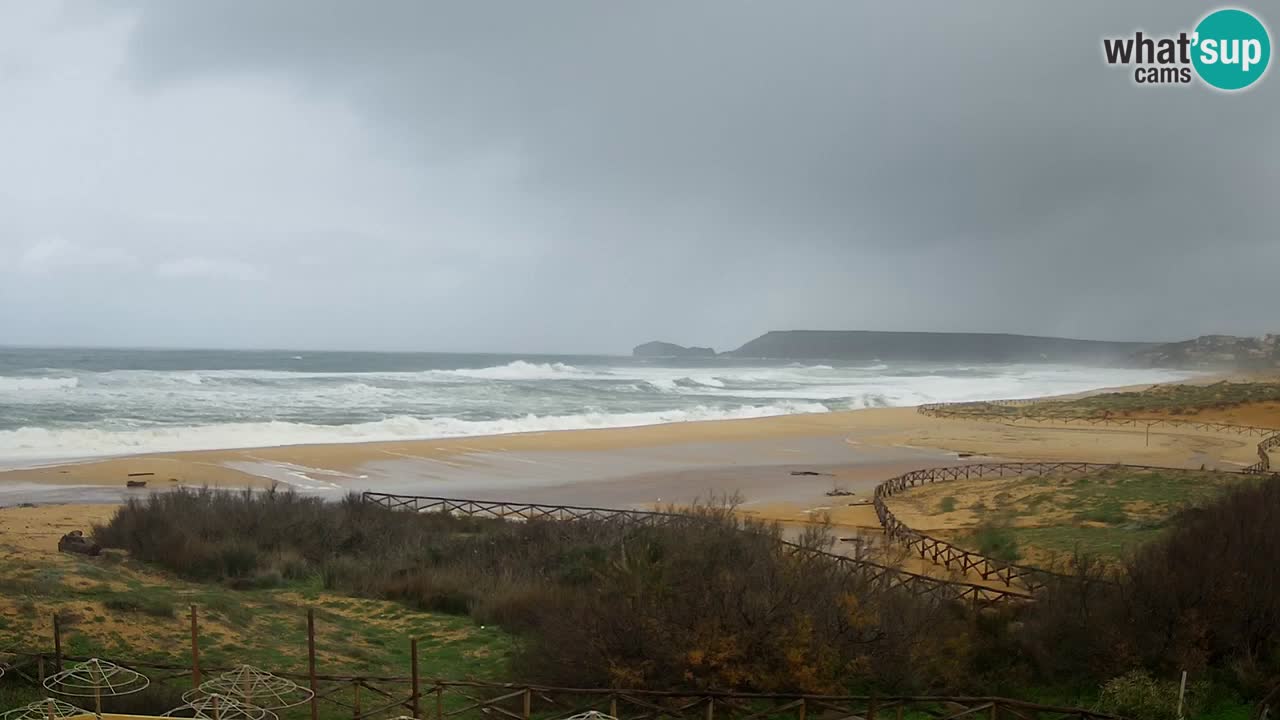 Web kamera Torre dei Corsari – Pogled uživo na plažu s Punta Usai