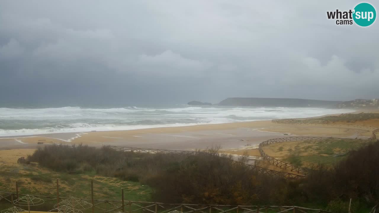 Webcam Torre dei Corsari – Live Beach View from Punta Usai