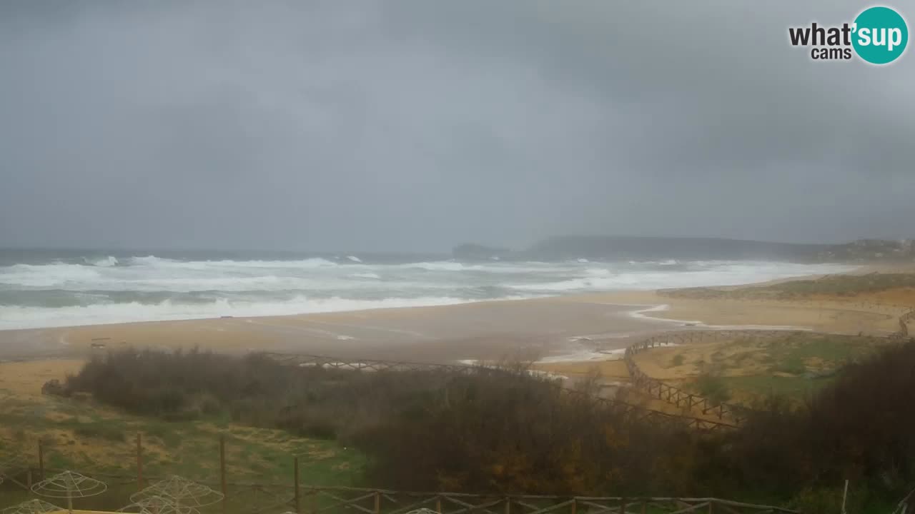 Webcam Torre dei Corsari – Liveblick auf den Strand von Punta Usai