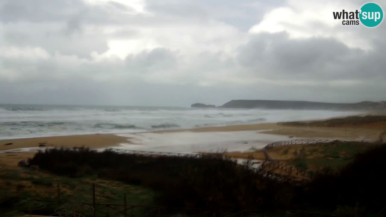 Web kamera Torre dei Corsari – Pogled uživo na plažu s Punta Usai