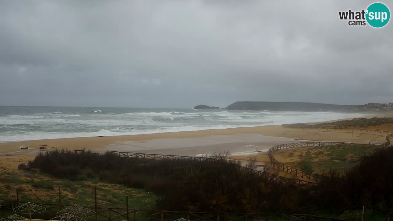 Web kamera Torre dei Corsari – Pogled uživo na plažu s Punta Usai