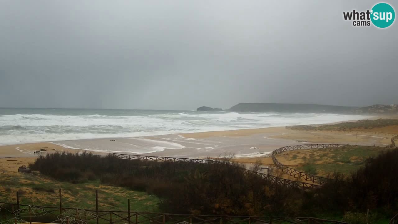 Webcam Torre dei Corsari – Live Beach View from Punta Usai