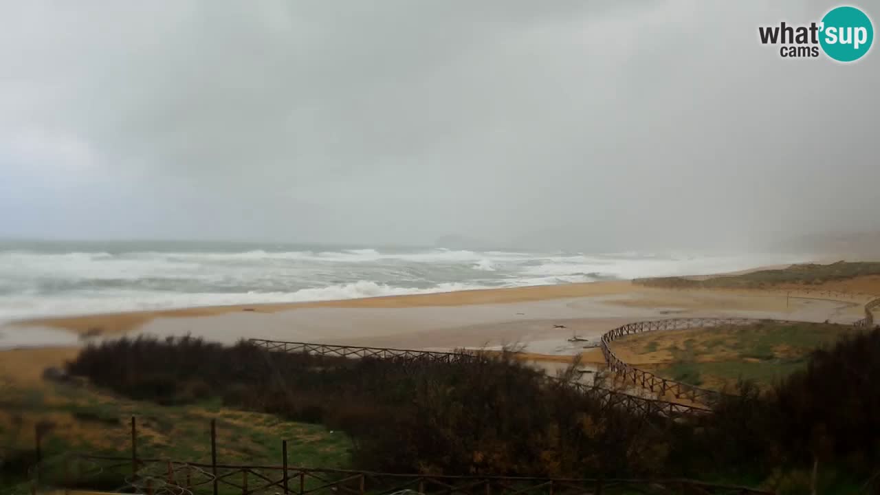 Webcam Torre dei Corsari – Live Beach View from Punta Usai