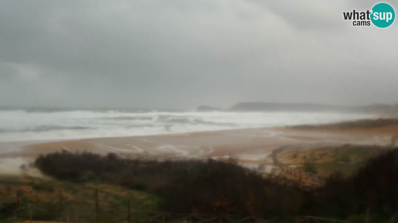 Webcam Torre dei Corsari – Live Beach View from Punta Usai